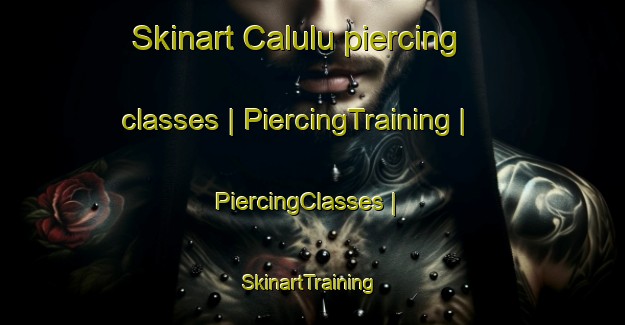 Skinart Calulu piercing classes | PiercingTraining | PiercingClasses | SkinartTraining-Australia